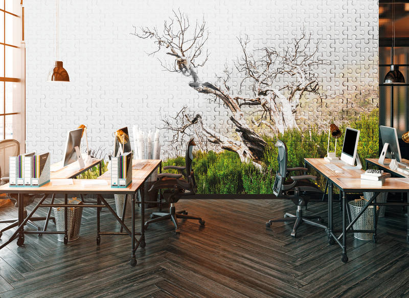 Architects Paper Fotobehang Atelier 47