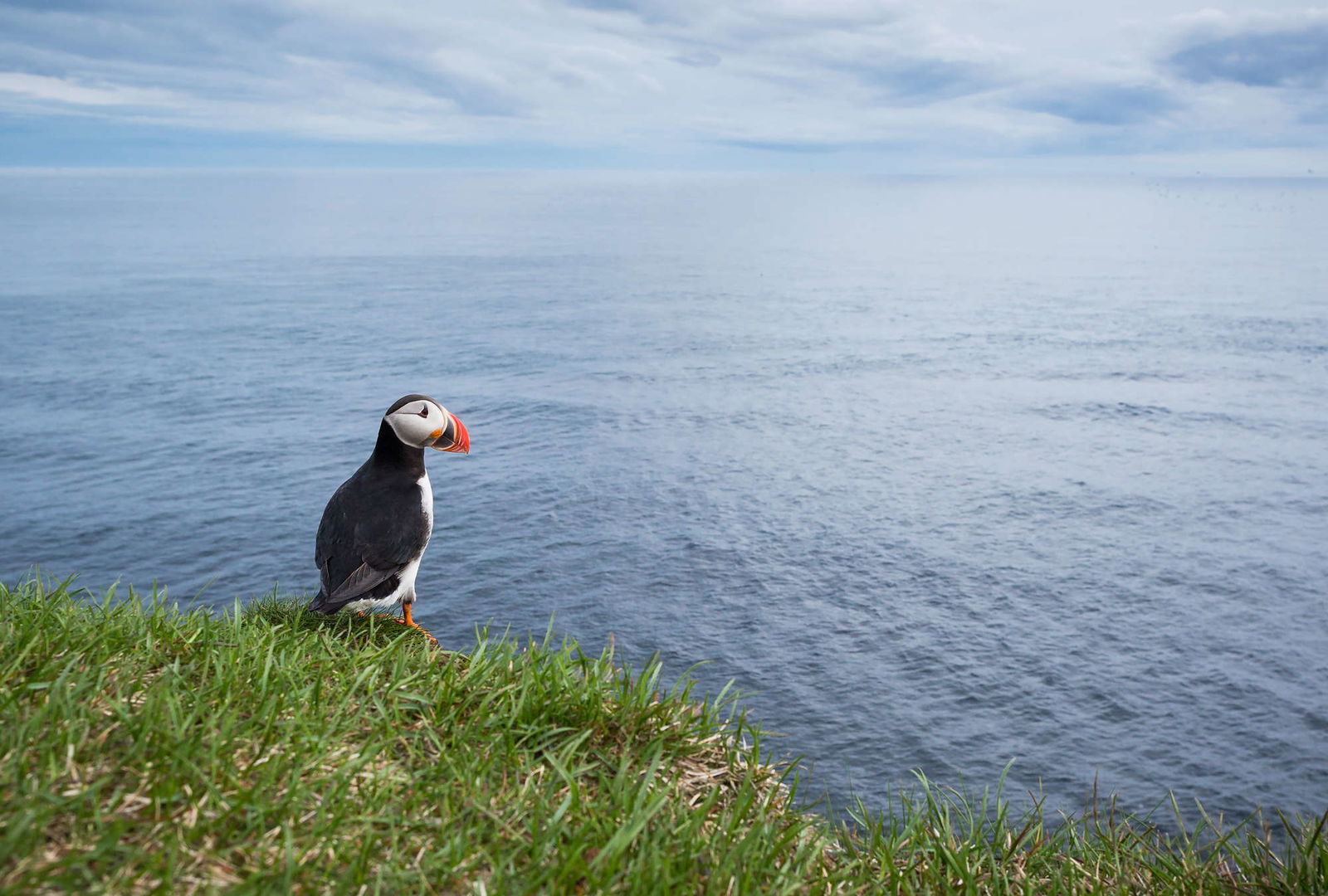 Architects Paper Photo wallpaper AP Digital 2