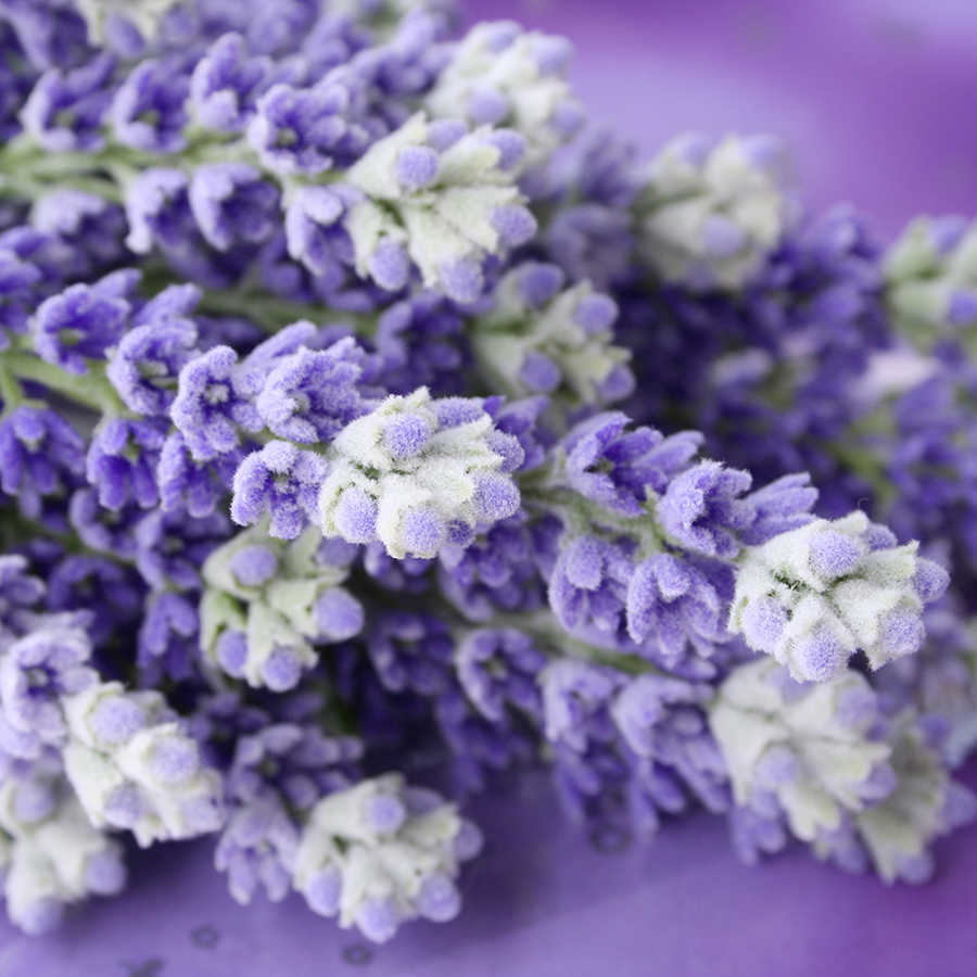 livingwalls Fototapete Nature livingwalls Fototapete Nature