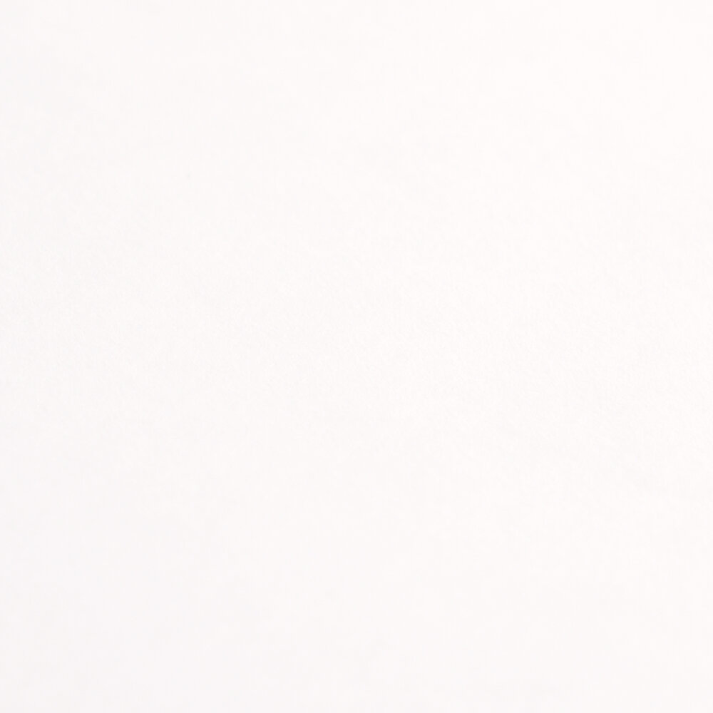 A.S. Création Wallpaper Designed in White
