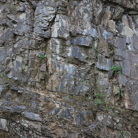 Architects Paper impression numérique AP Digital 2