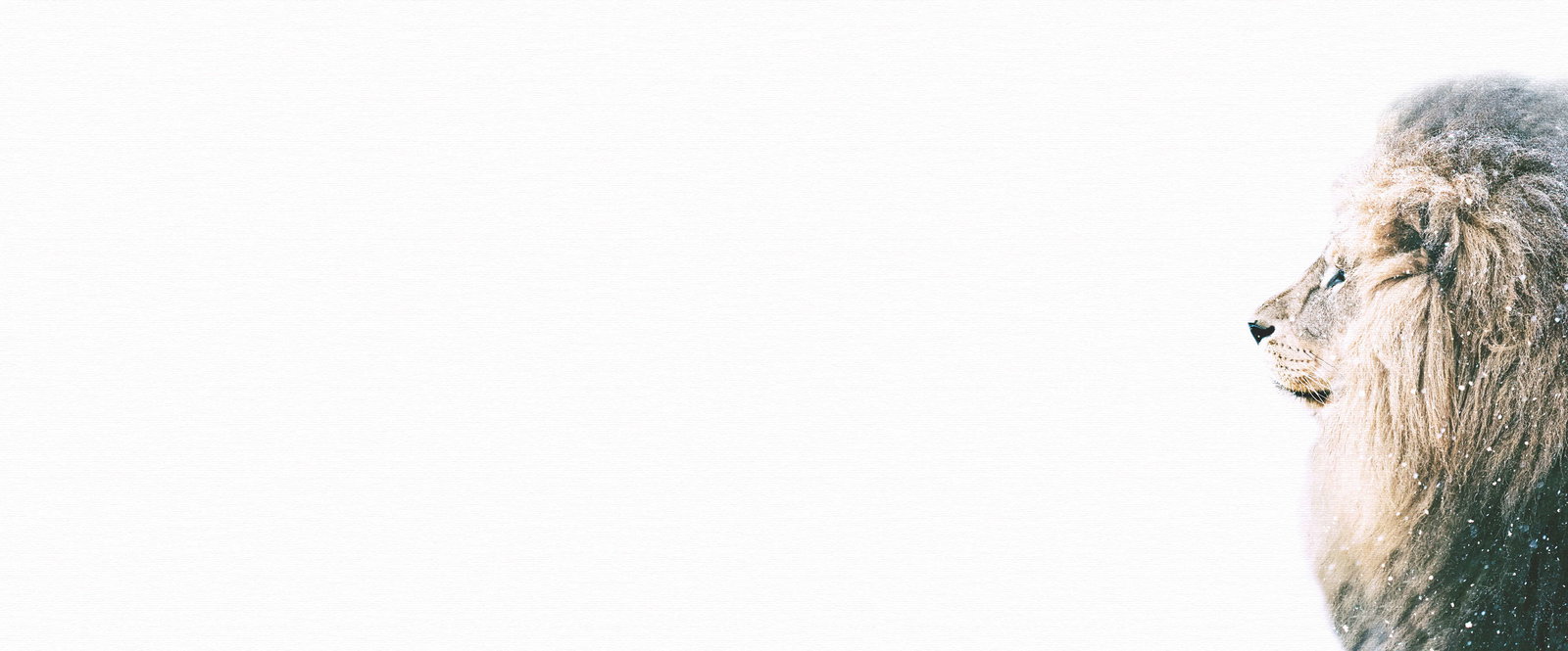 livingwalls Фотообои ARTist