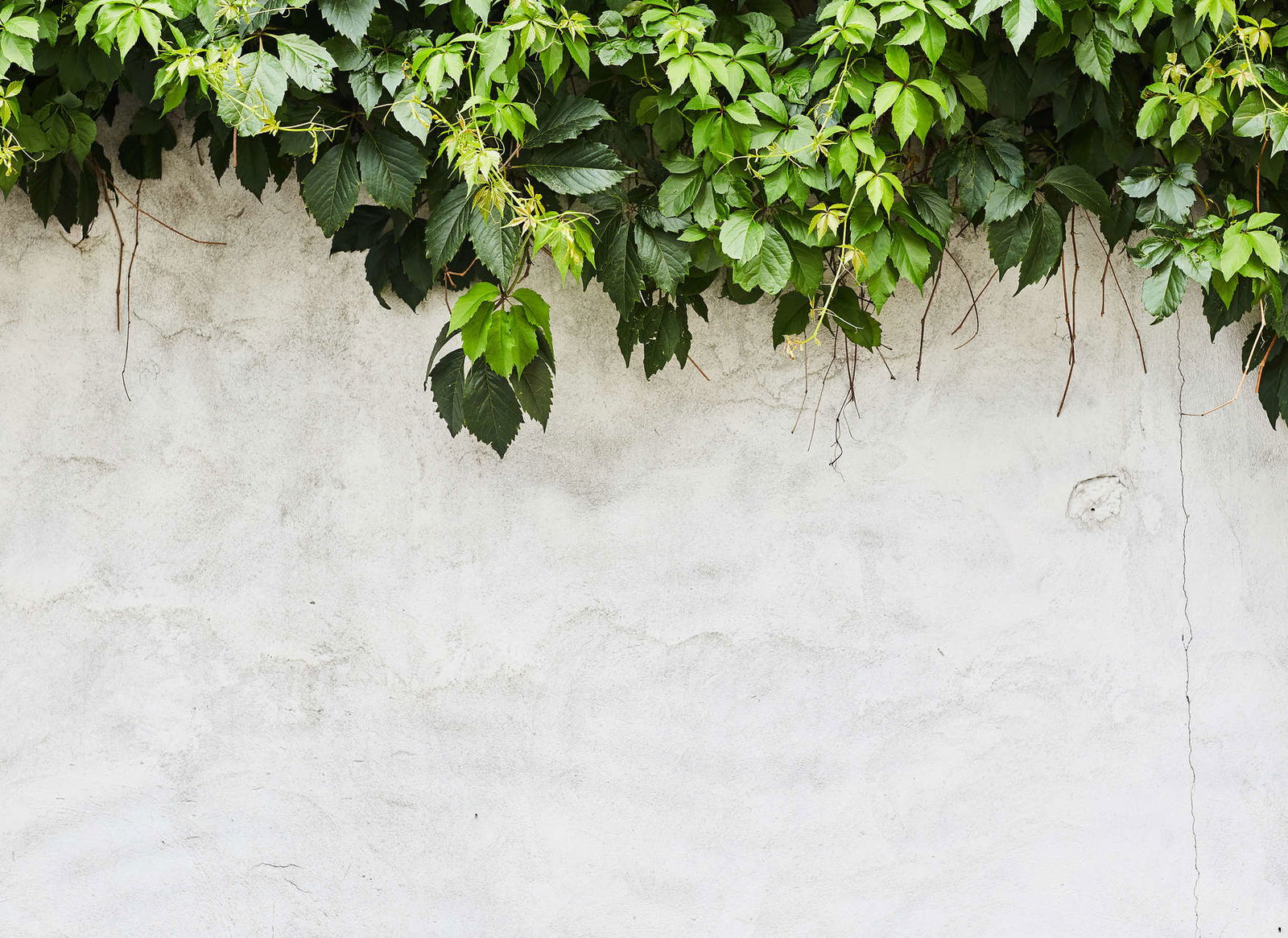 livingwalls Fotobehang Designwalls 2