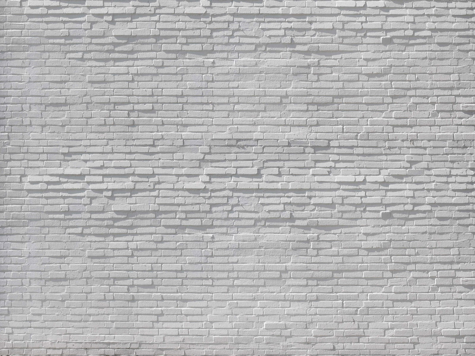 Architects Paper Fototapete AP Digital 4