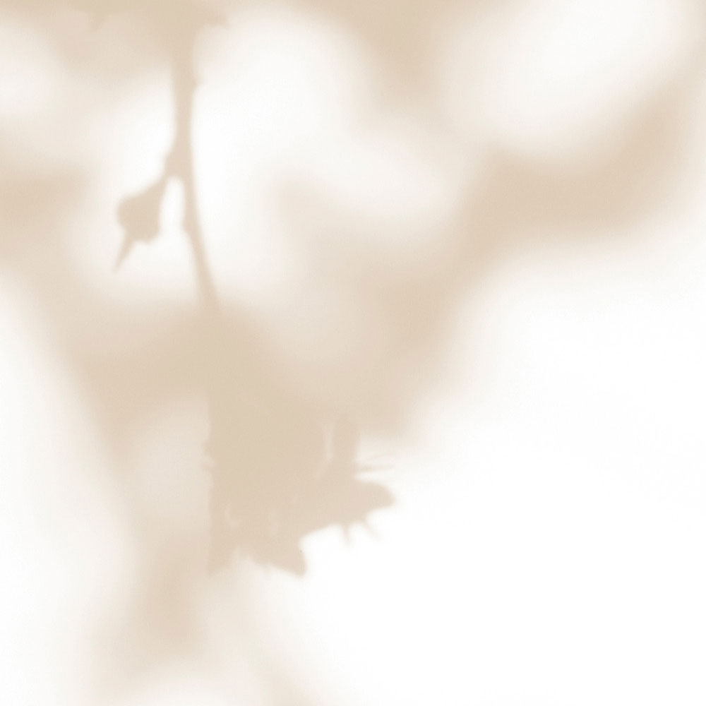 walls by patel Fotobehang Walls by Patel 3
