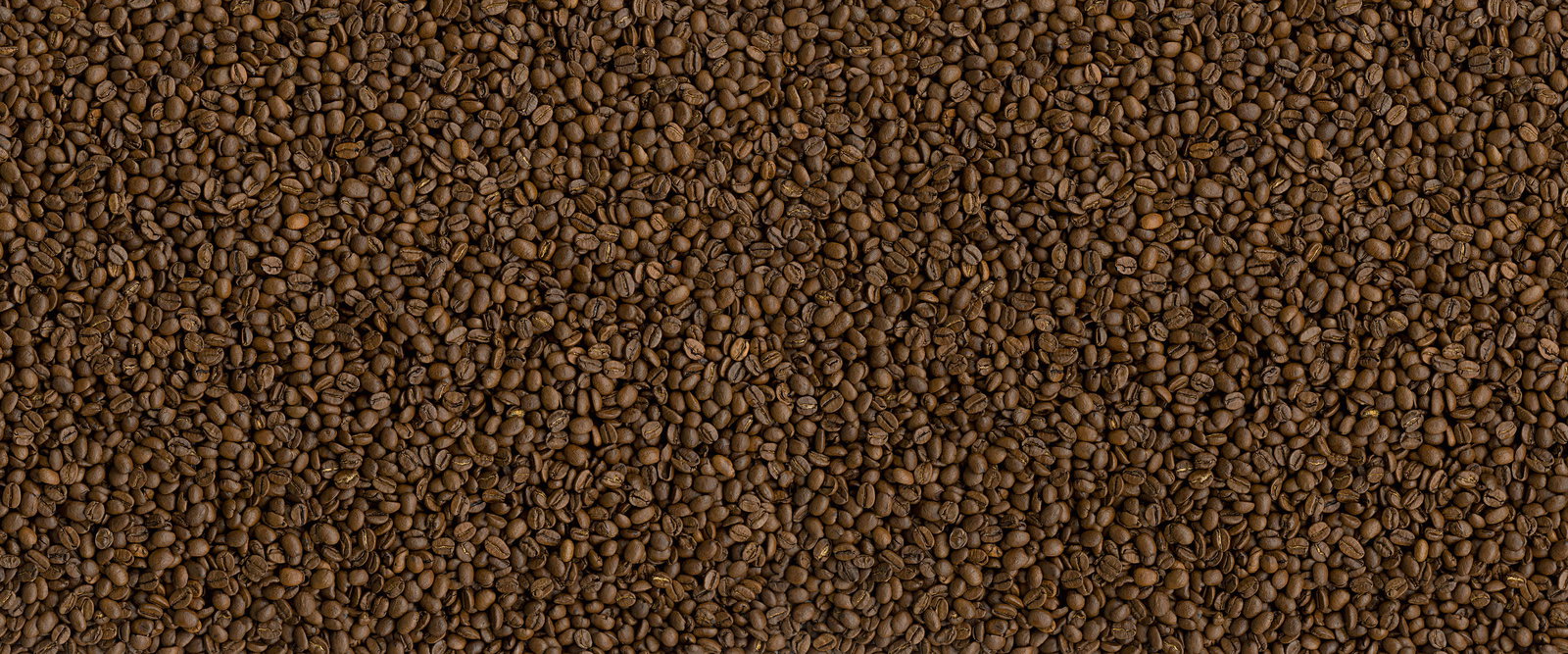 Architects Paper impression numérique AP Digital 2