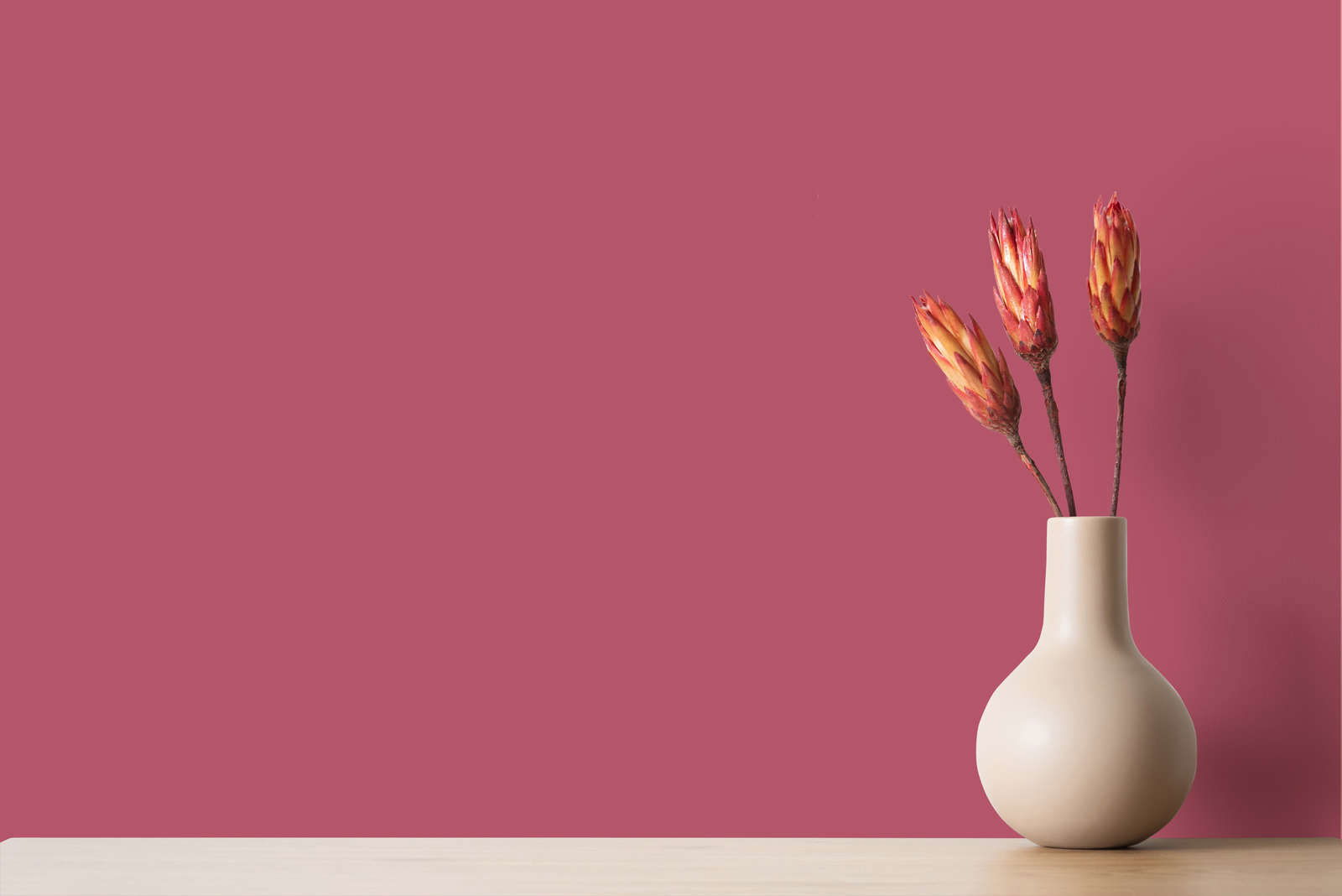 The Color Kitchen Farbe Color Kitchen