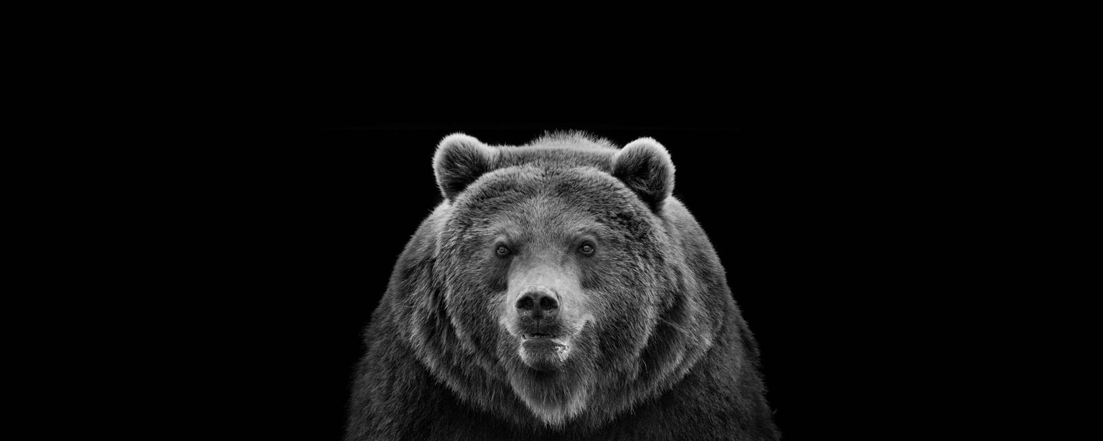 Architects Paper impression numérique AP Digital 2