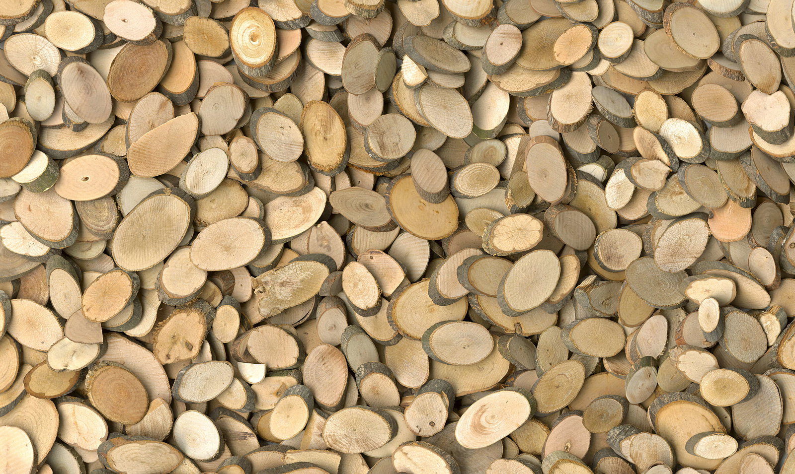 Architects Paper impression numérique AP Digital 2