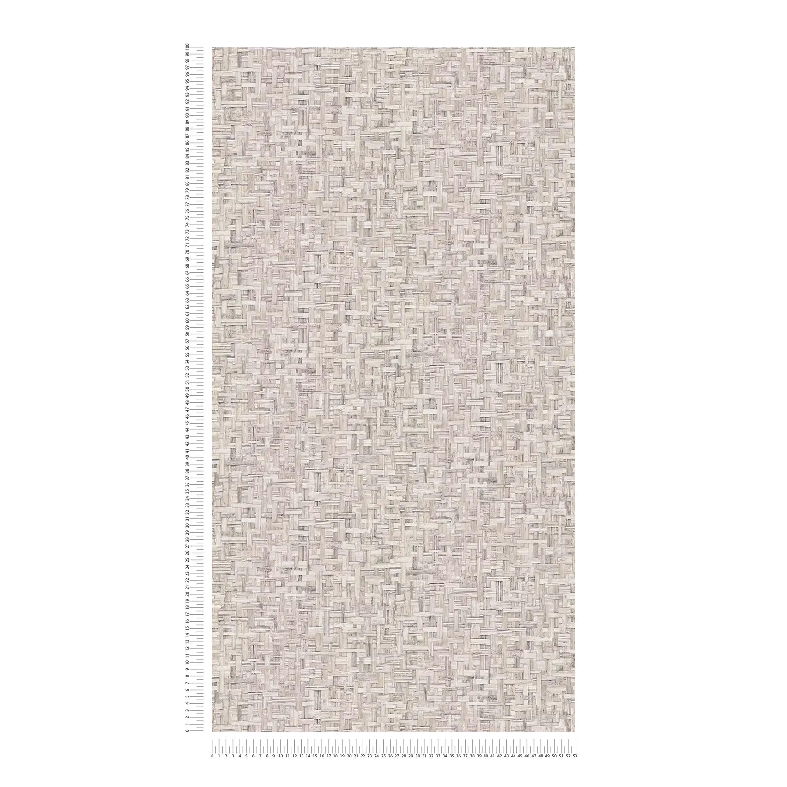 Architects Paper Wallpaper Jungle Chic