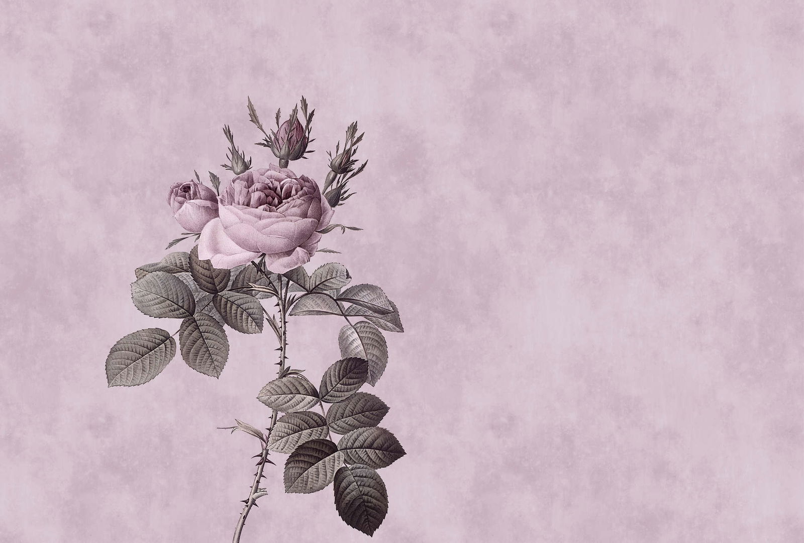 walls by patel impression numérique Walls by Patel