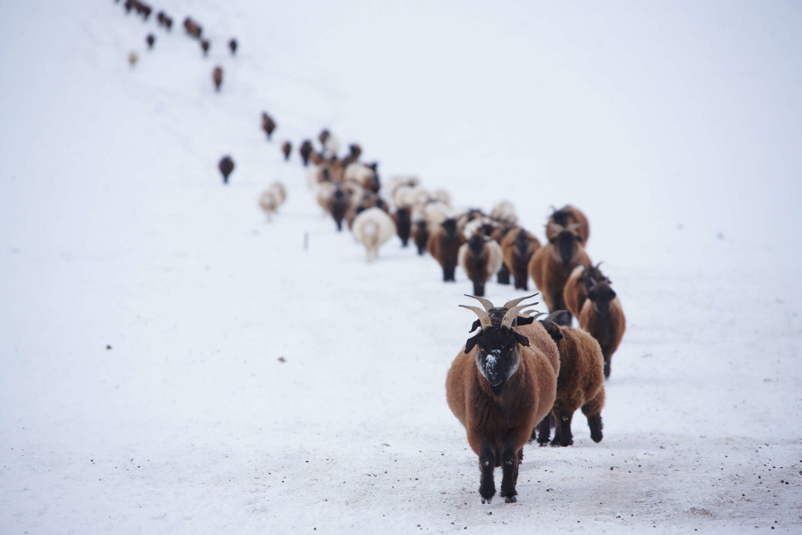 Architects Paper Фотообои AP Digital