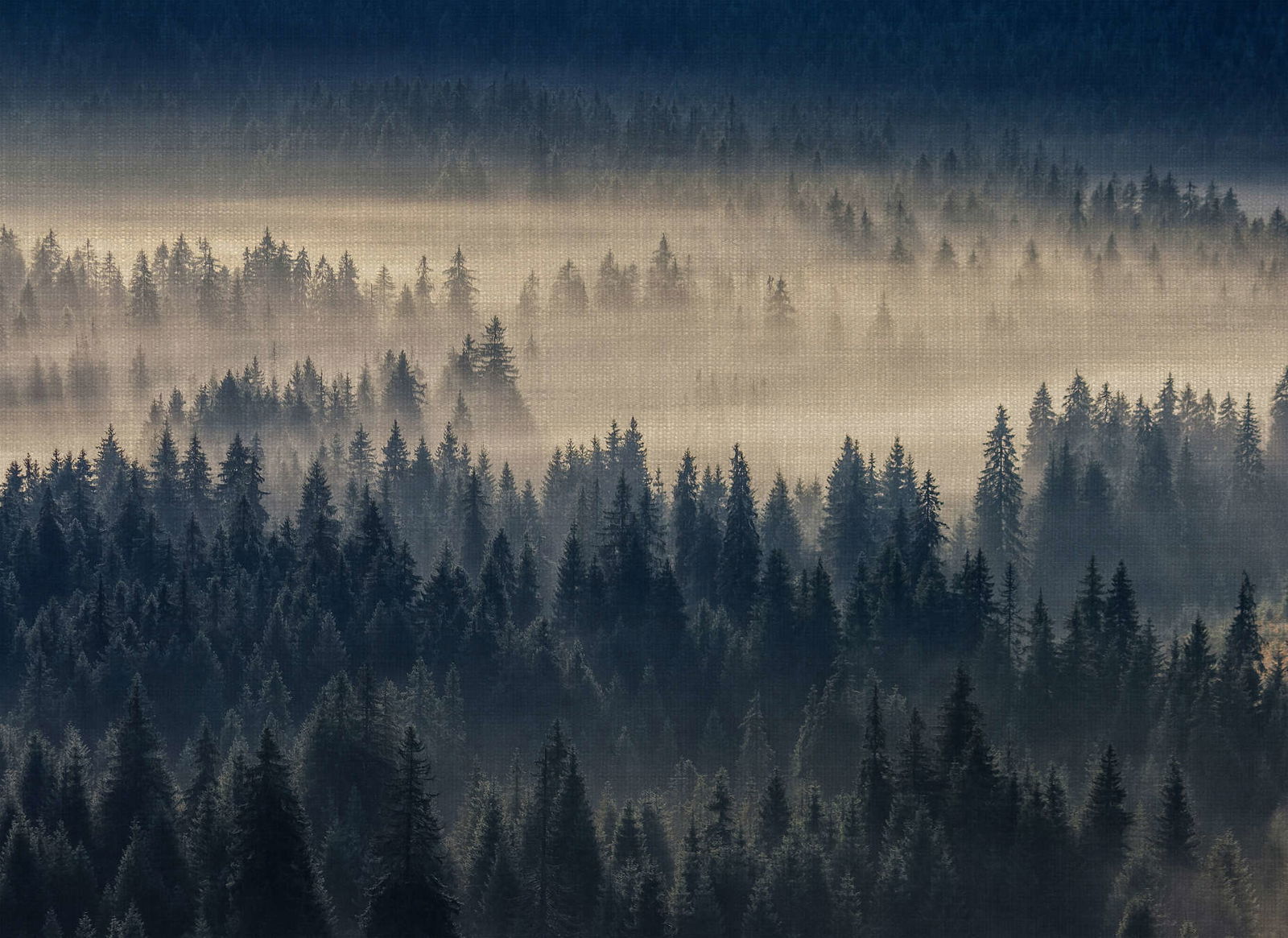 livingwalls Fototapete Designwalls 2