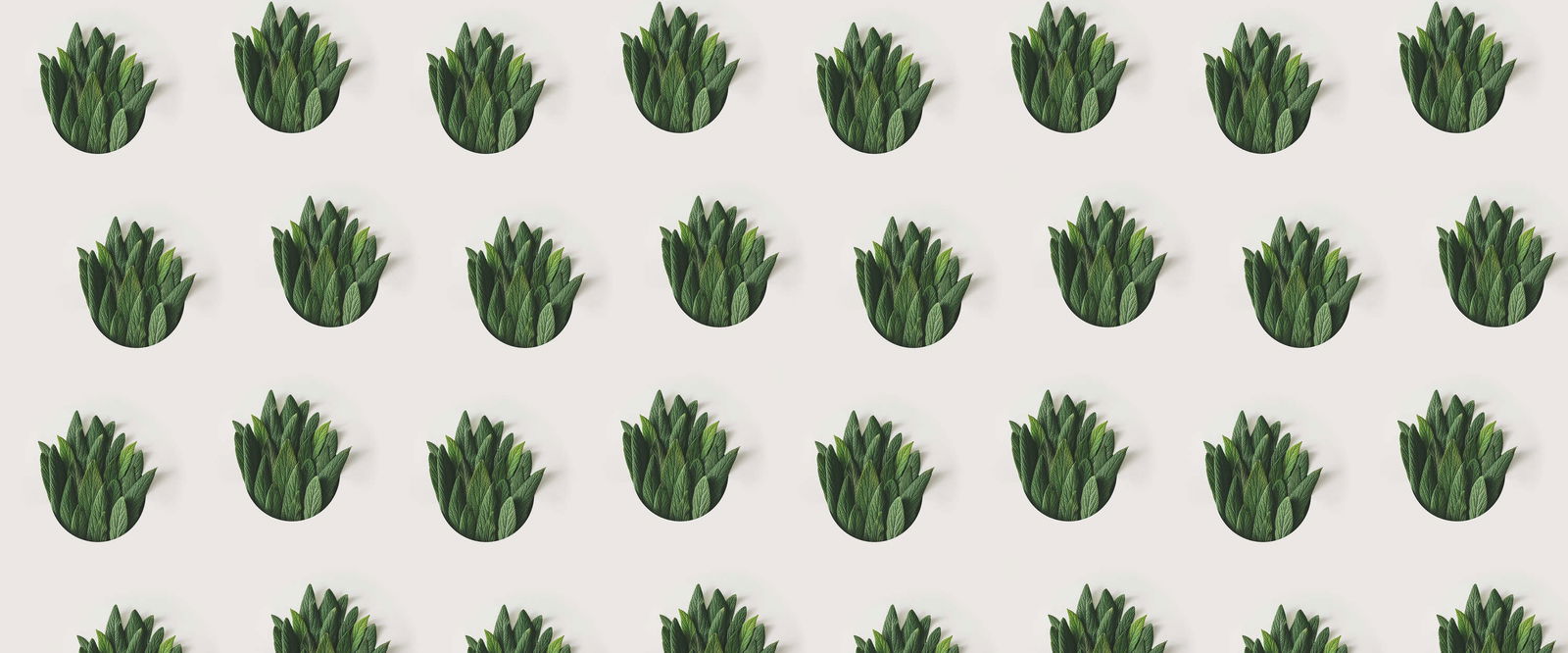 Architects Paper Fotobehang AP Digital 4