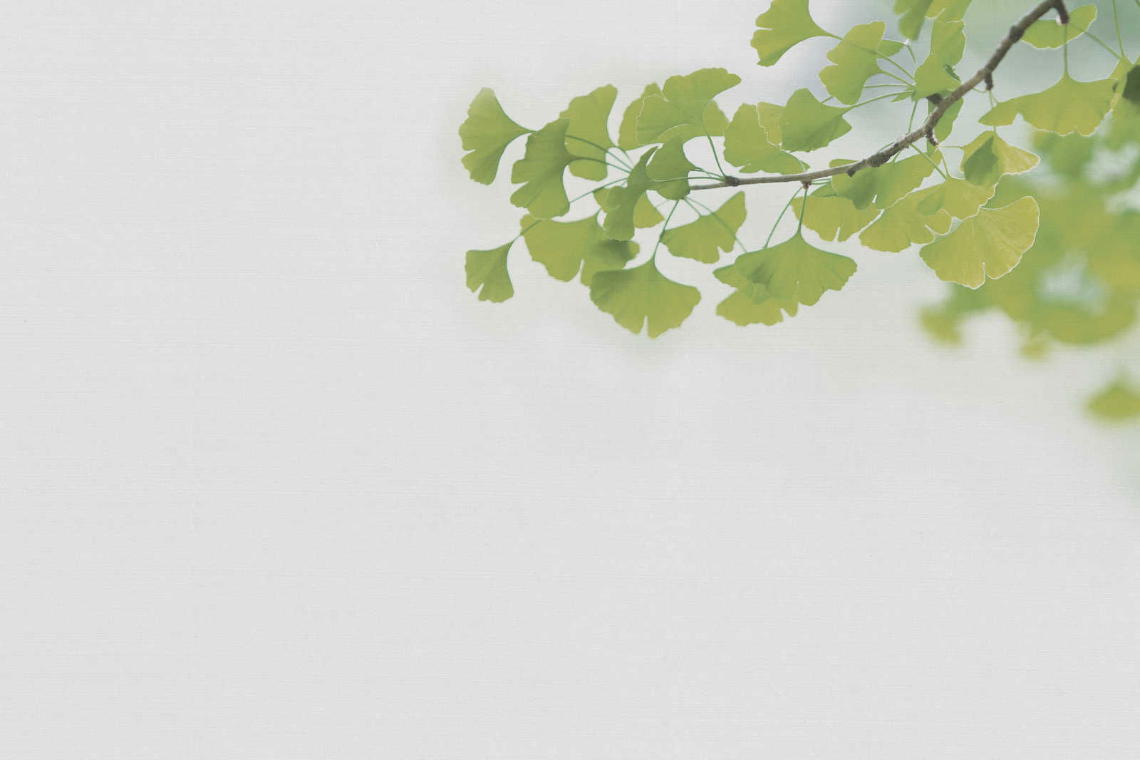 livingwalls Canvas print Designwalls 2
