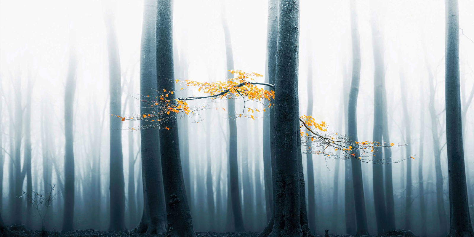 Architects Paper Fotobehang AP Digital 4