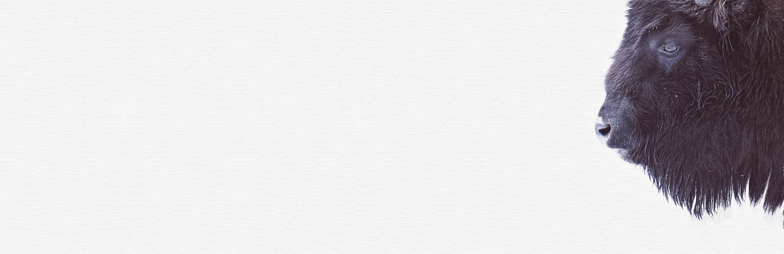 livingwalls Фотообои ARTist