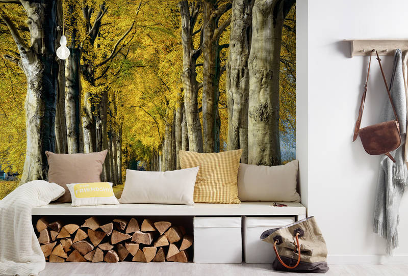 Architects Paper Photo wallpaper AP Digital 4 Architects Paper Photo wallpaper AP Digital 4