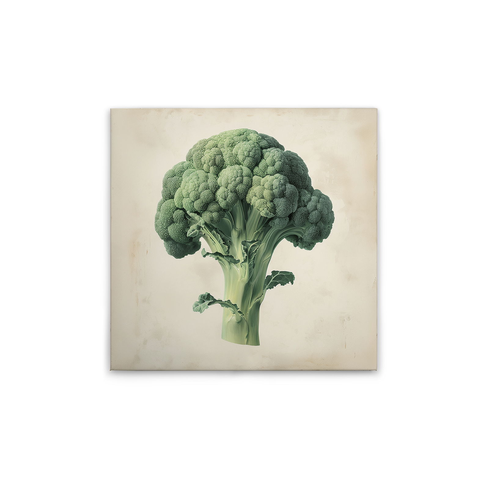 A.S. Création tableau sur toile Canvas 2024