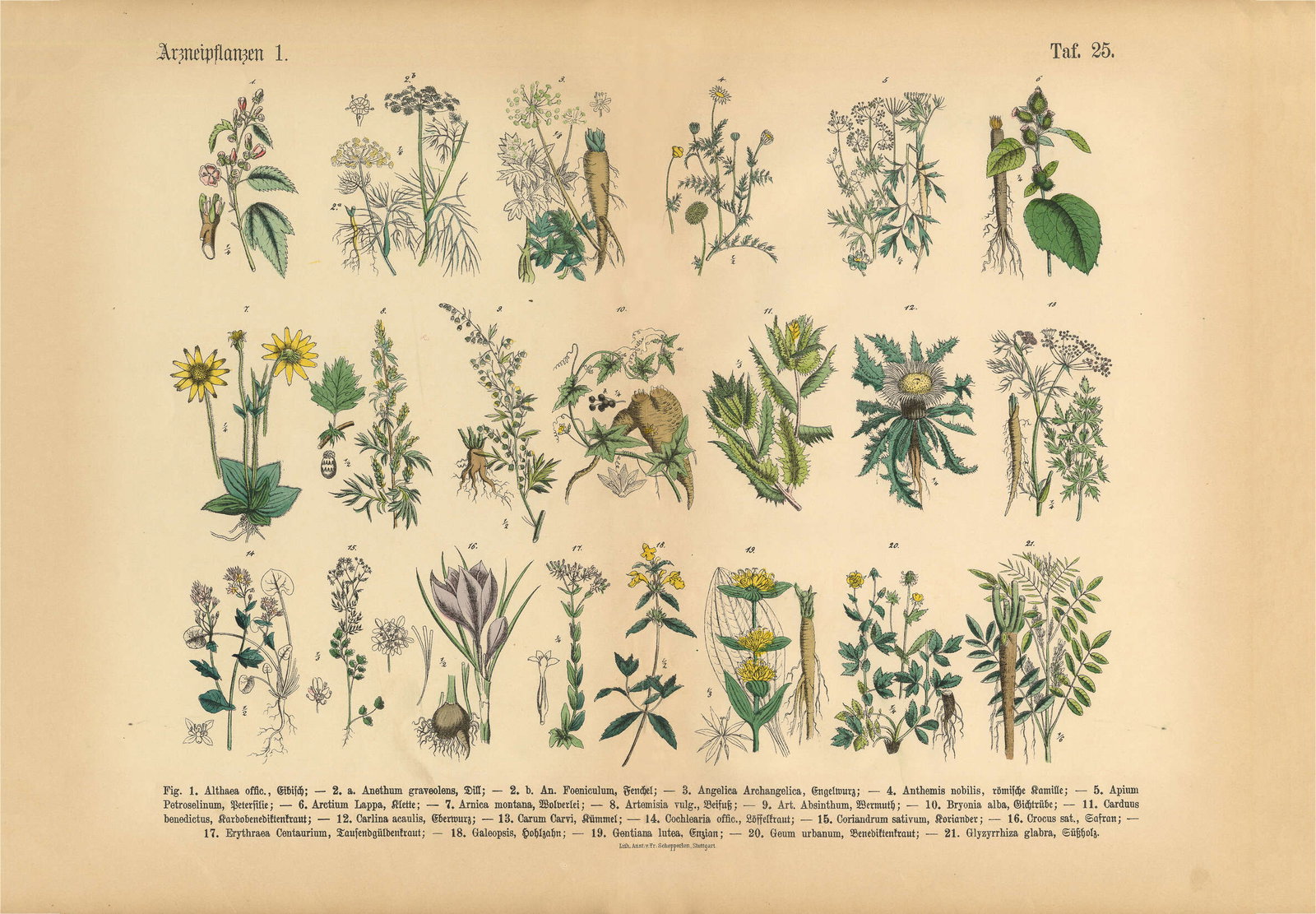 Architects Paper Fototapete AP Digital 4