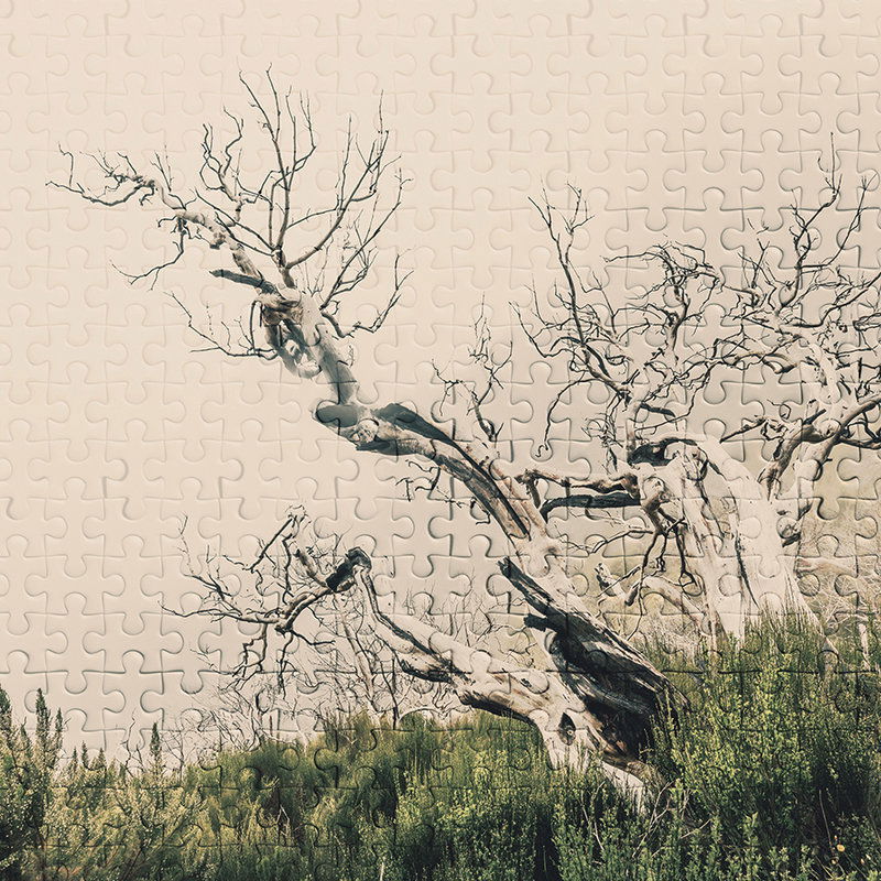 Architects Paper impression numérique Atelier 47