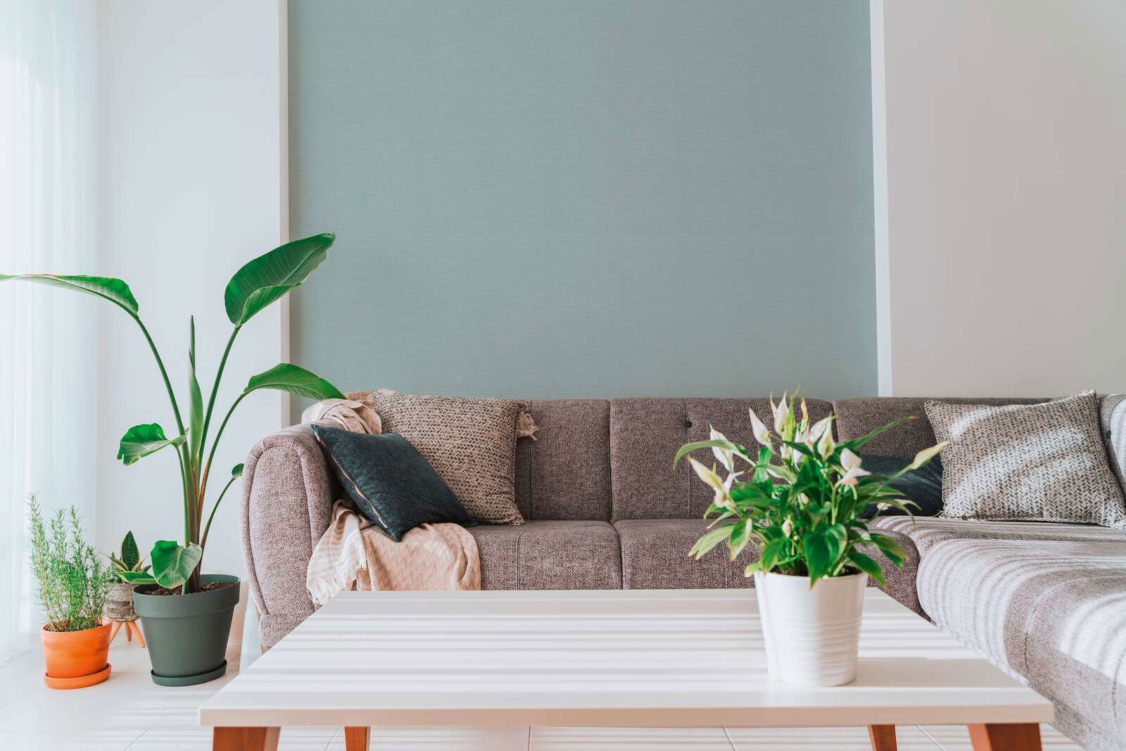 A.S. Création papier peint PintWalls III