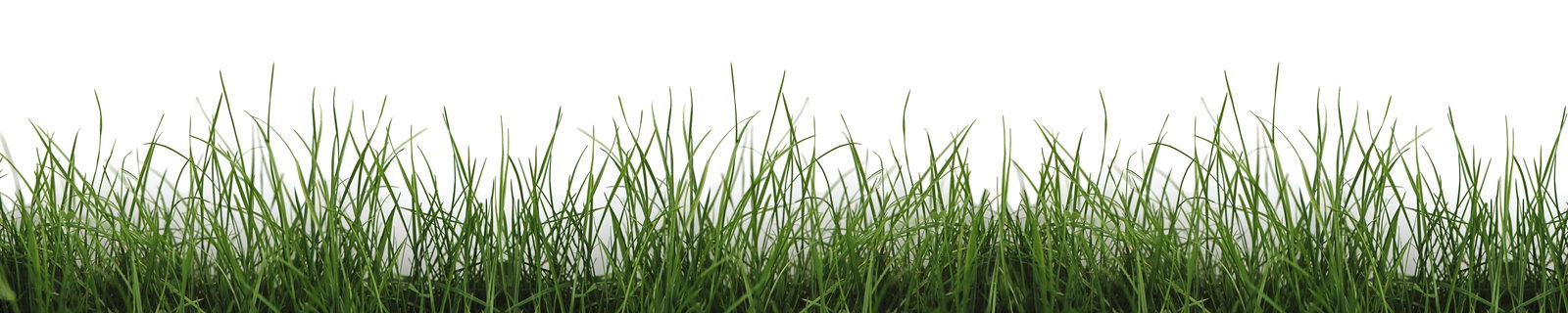 Architects Paper Fototapete AP Digital 4