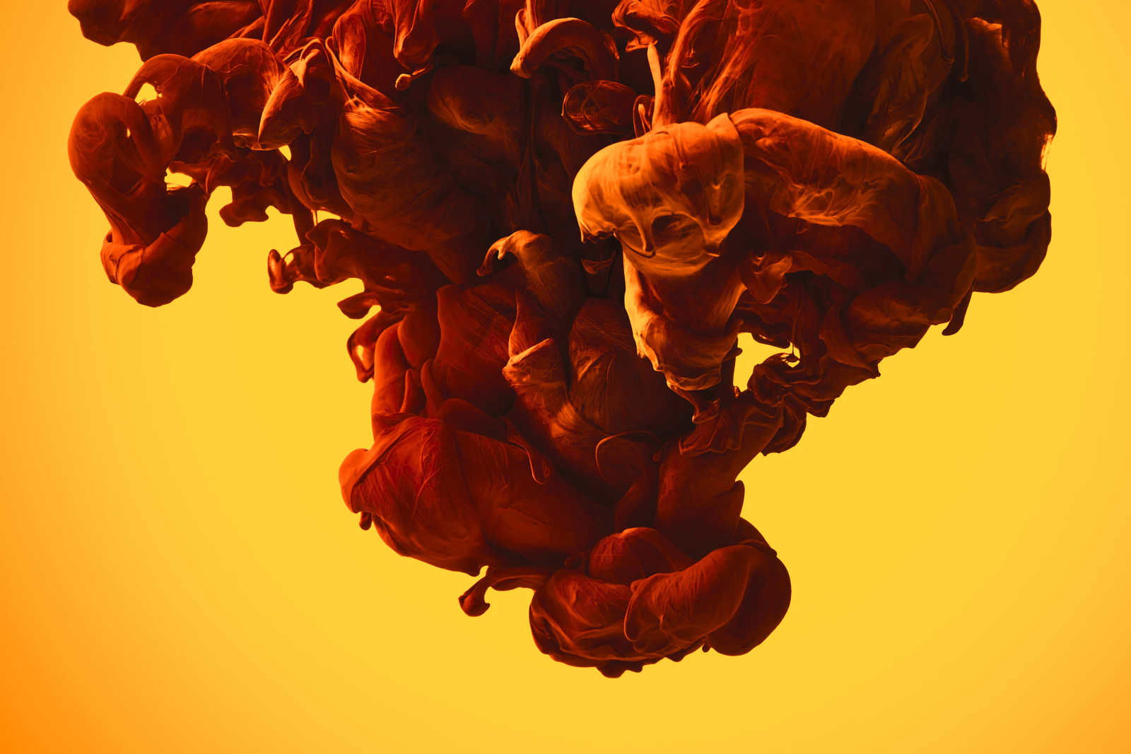 livingwalls Canvas print Designwalls