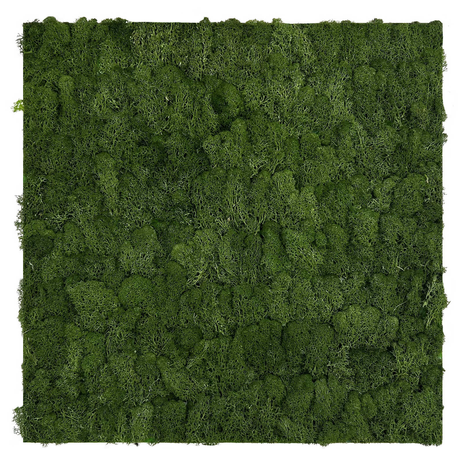A.S. Création Wandpaneel Modular Wall