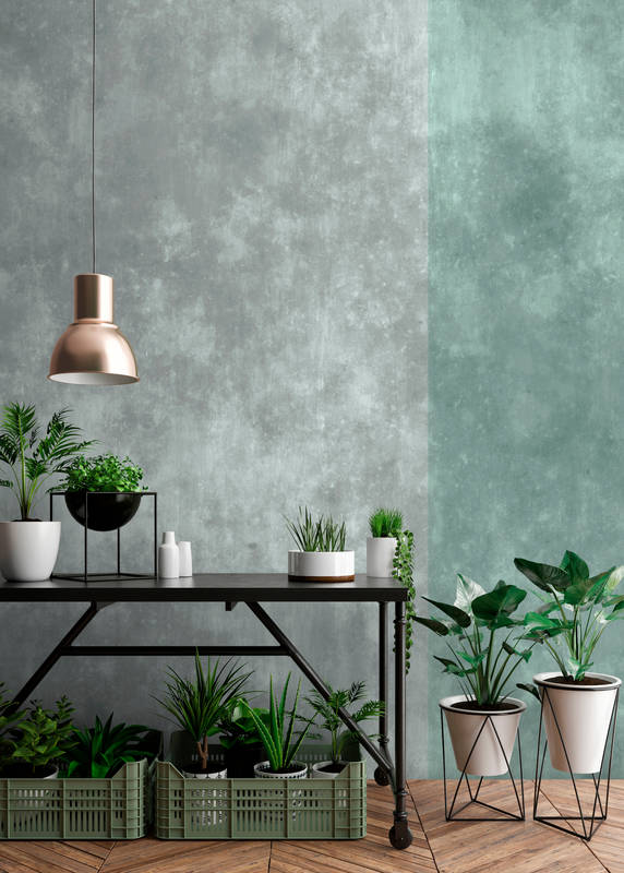 walls by patel Photo wallpaper Walls by Patel walls by patel Photo wallpaper Walls by Patel