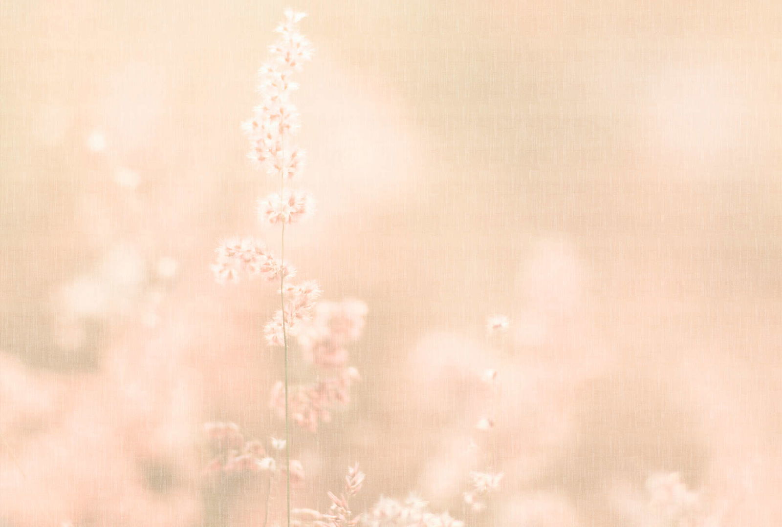 walls by patel Fotobehang Walls by Patel 5