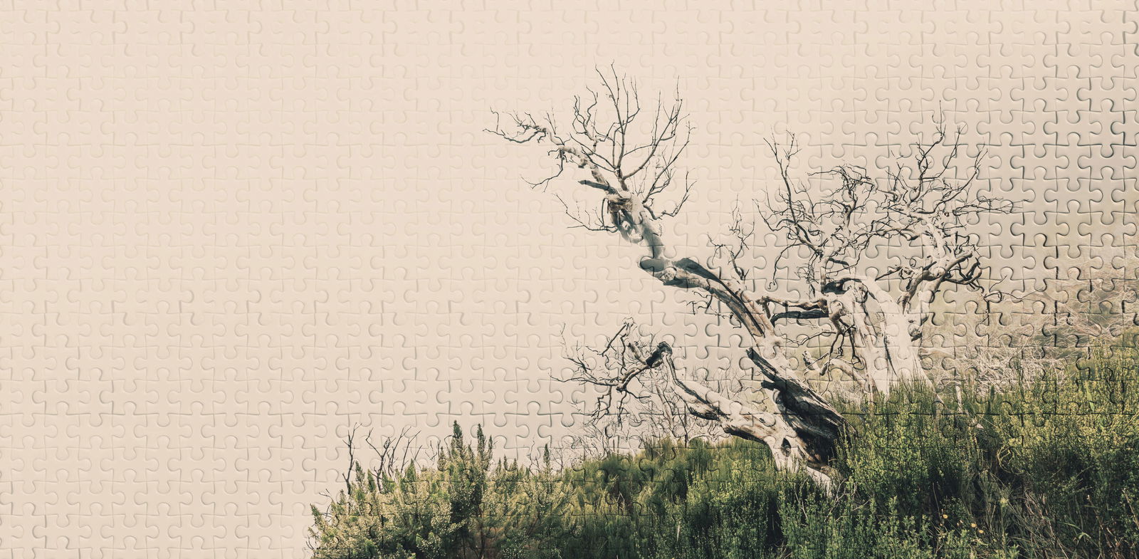 Architects Paper Photo wallpaper Atelier 47
