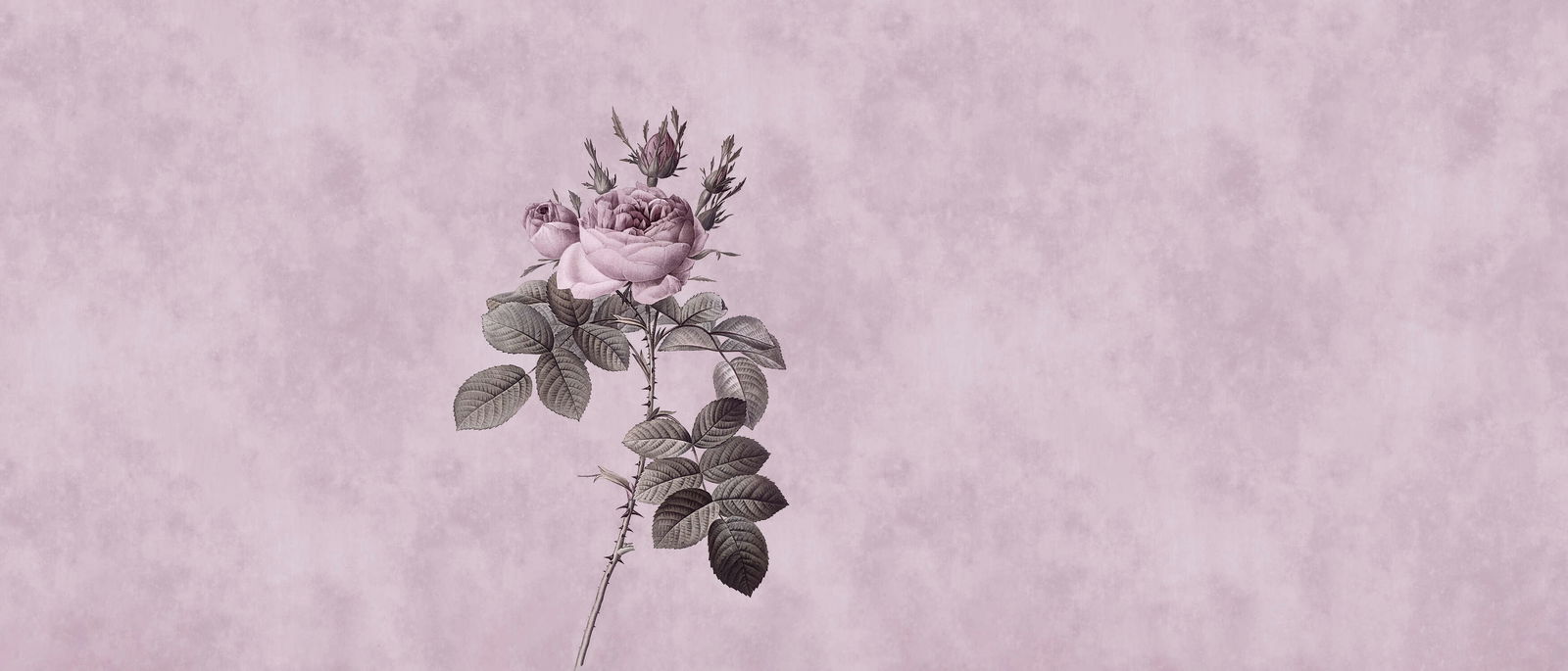 walls by patel Фотообои Walls by Patel