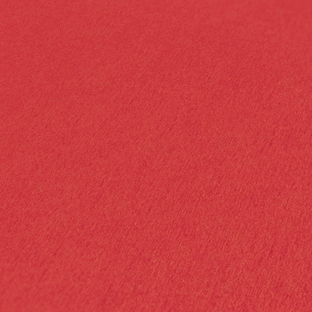 A.S. Création papier peint Little Love