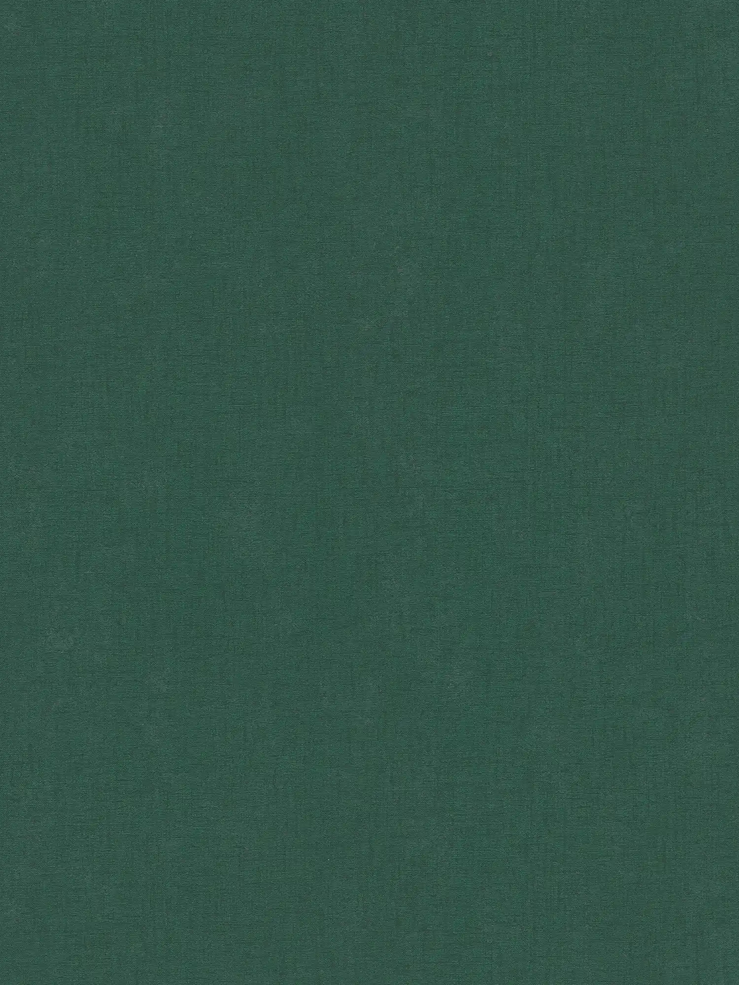 A.S. Création papier peint Casual Living A.S. Création papier peint Casual Living