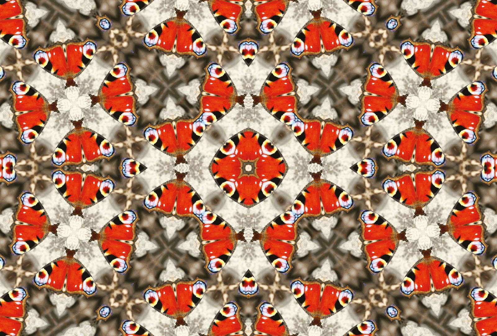 Architects Paper Fototapete AP Digital