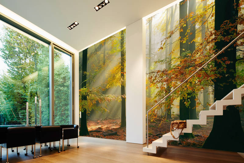 Architects Paper Photo wallpaper AP Digital 4 Architects Paper Photo wallpaper AP Digital 4