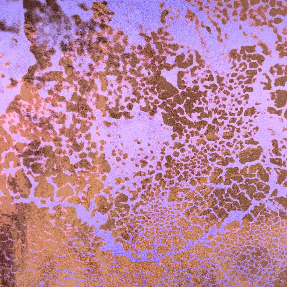 walls by patel Photo wallpaper Walls by Patel 5