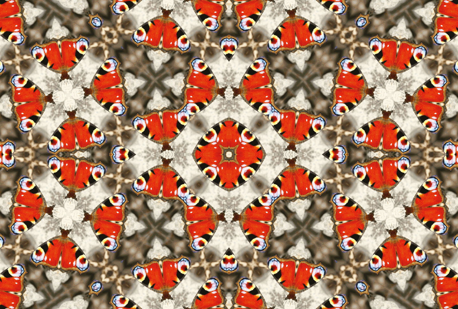 Architects Paper Fotobehang AP Digital