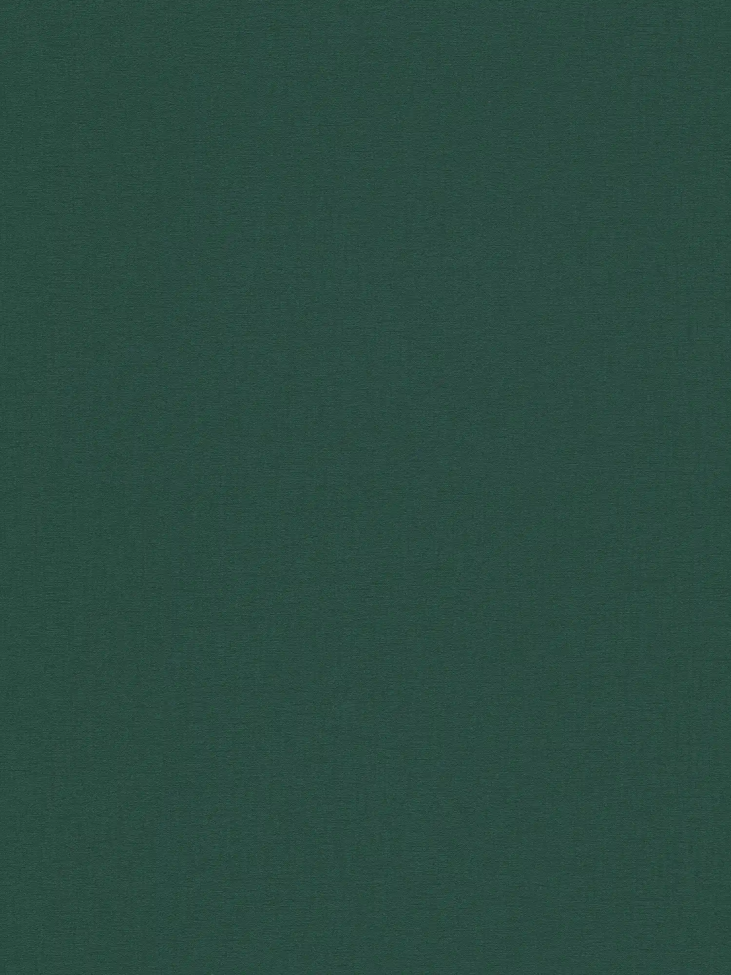 livingwalls Wallpaper Stories of Life