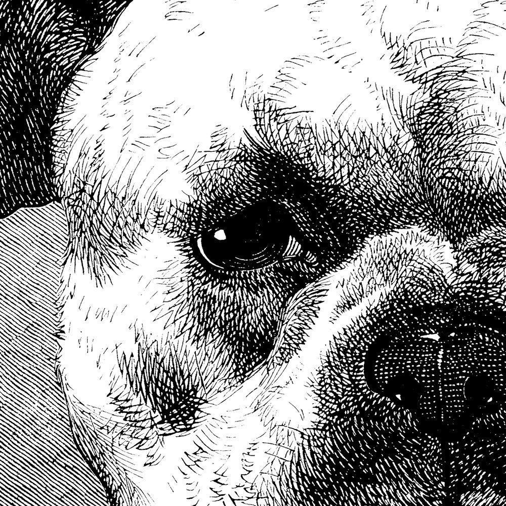 Architects Paper Фотообои AP Digital 4