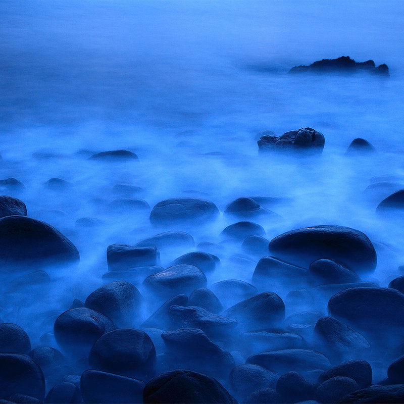 livingwalls impression numérique XXLwallpaper 2