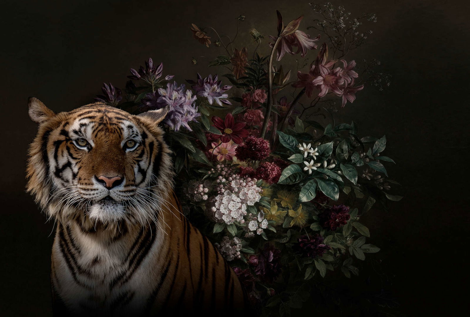 walls by patel Photo wallpaper Walls by Patel walls by patel Photo wallpaper Walls by Patel