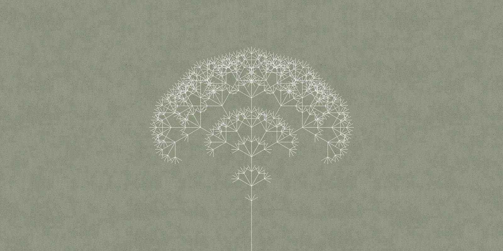 walls by patel impression numérique Walls by Patel