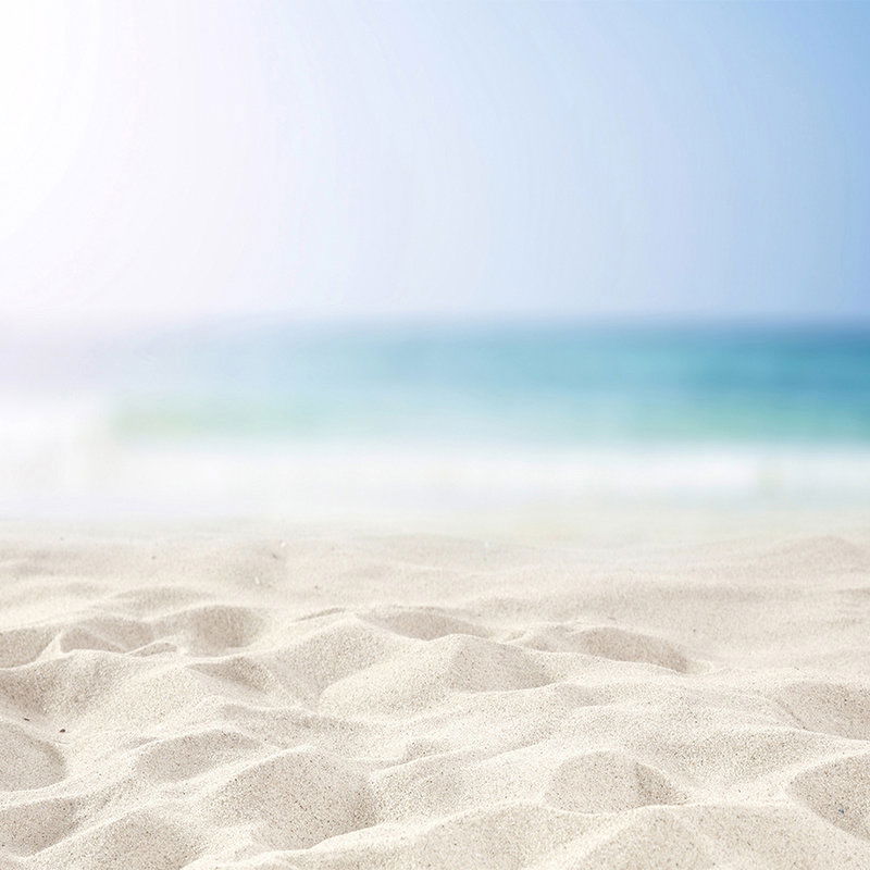 livingwalls impression numérique XXLwallpaper 3