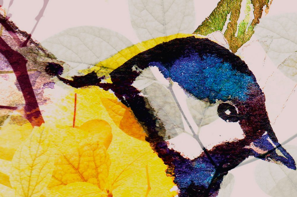 walls by patel impression numérique Walls by Patel