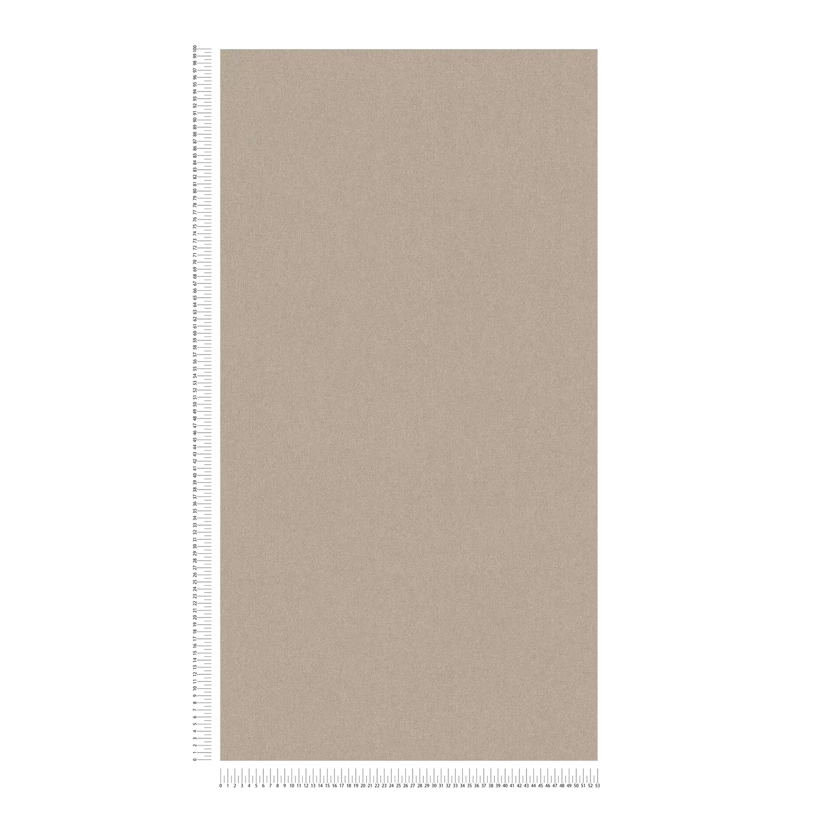 Architects Paper Wallpaper Jungle Chic