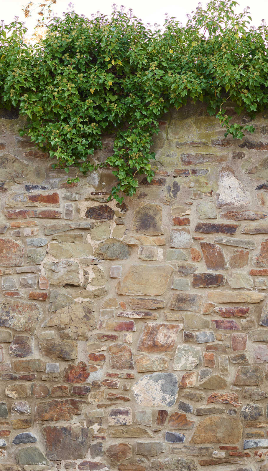 livingwalls Обои The Wall 2 livingwalls Обои The Wall 2