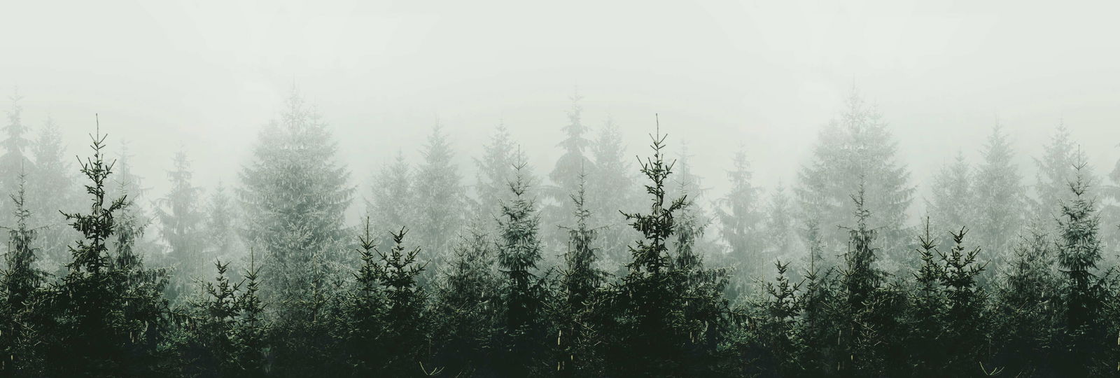 livingwalls Фотообои ARTist