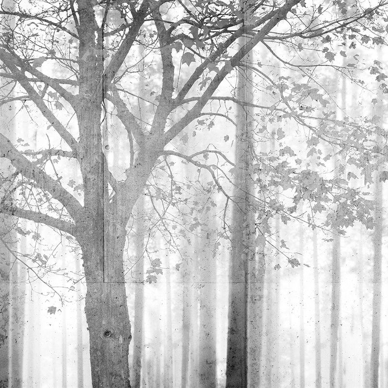 Architects Paper Фотообои Atelier 47